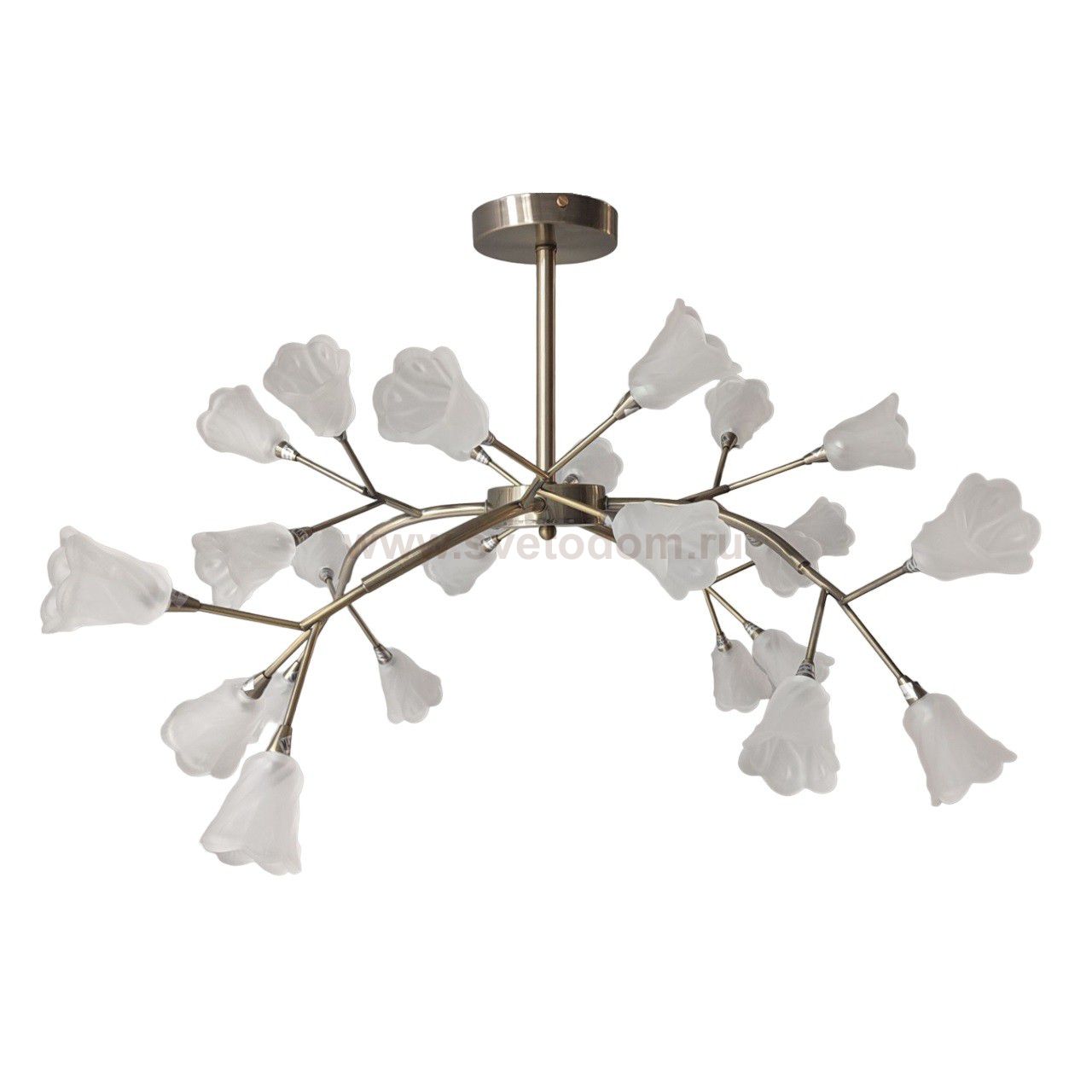 Люстра в стиле модерн 11116/24AB WT ЭкономСвет