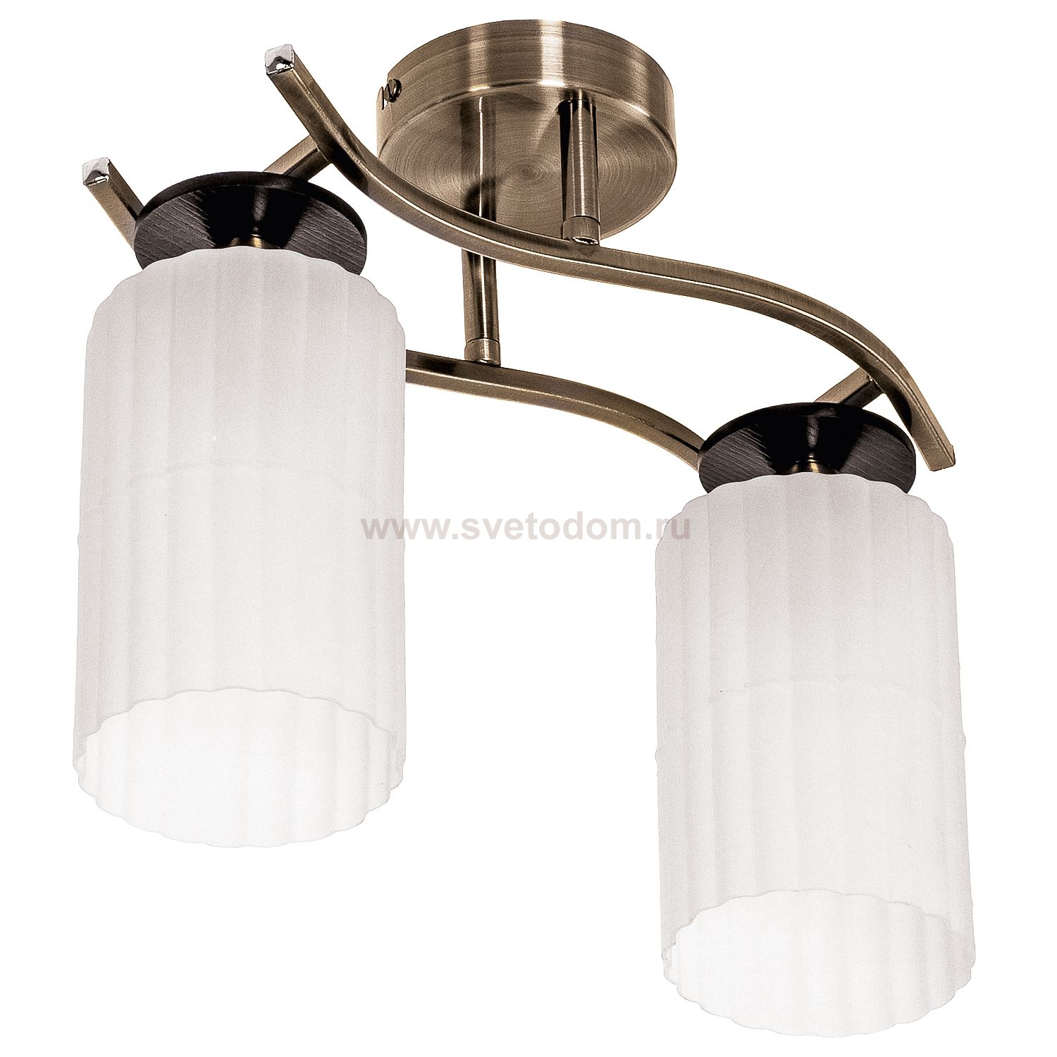 Потолочный светильник Экономсвет 11133/2AB WT