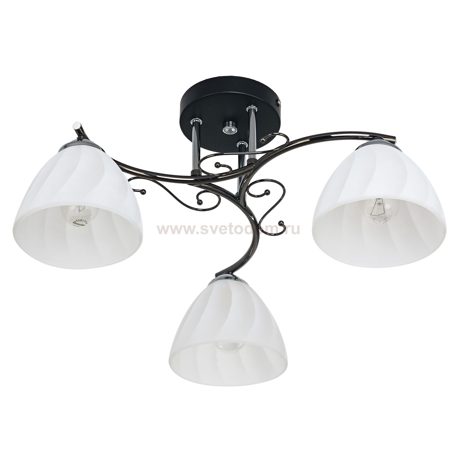 Потолочный светильник Экономсвет 11379N/3BK WT