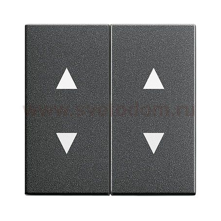 Gira S-55 Антрацит Клавиша 2-ая с двойными стрелками (G115028)
