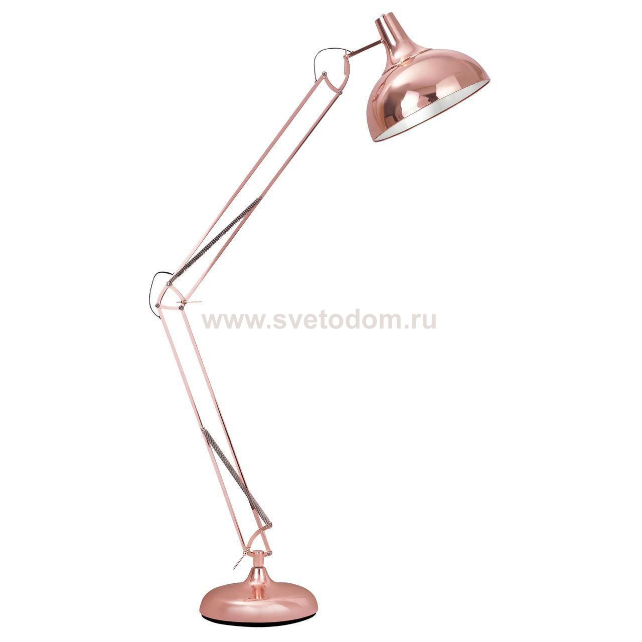 Торшер Spot Light Adelaida 1201113