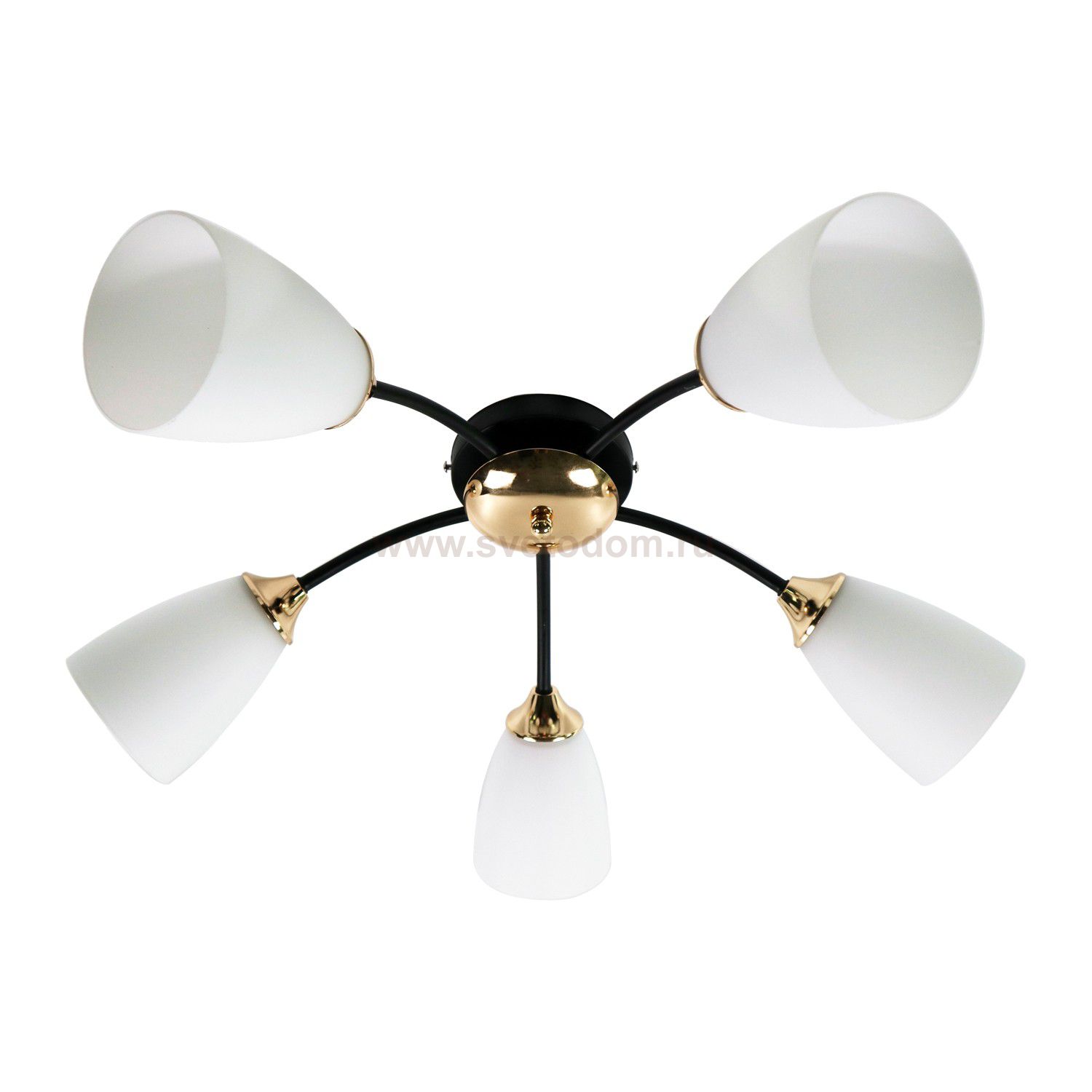 Люстра классическая Экономсвет 12123/5BK+FG WT