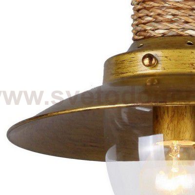 Светильник подвесной Favourite 1216-3P Sole