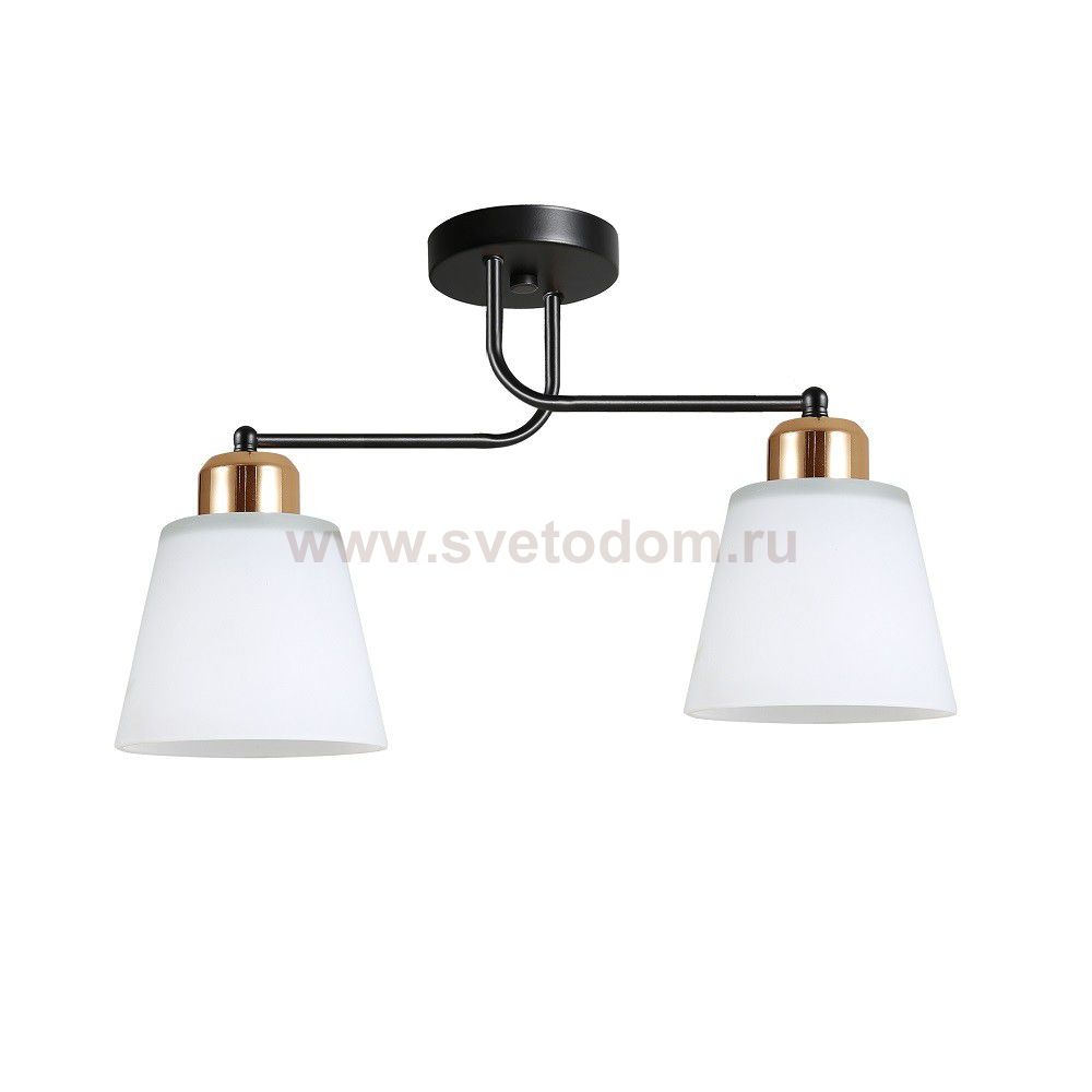 Люстра в стиле модерн 12197/2BK+GD WT ЭкономСвет