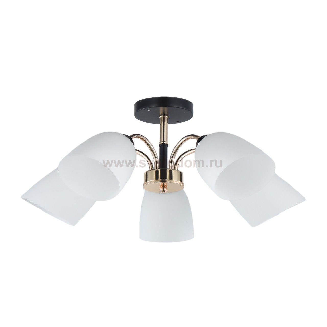 Люстра в стиле модерн 12222/5BK+FGD WT ЭкономСвет