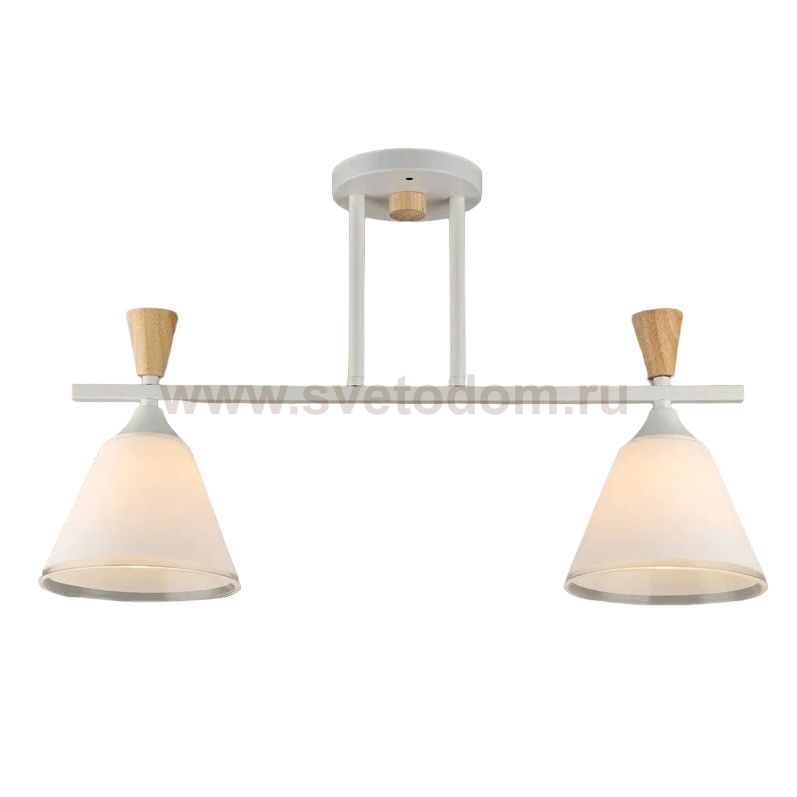 Люстра в стиле модерн 12256/2WT+WD WT ЭкономСвет