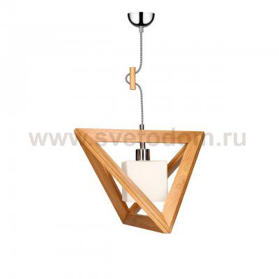 Подвесной светильник Spot Light Trigonon 1261470