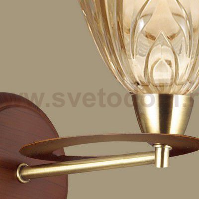 Светильник настенный бра Favourite 1276-1W Links