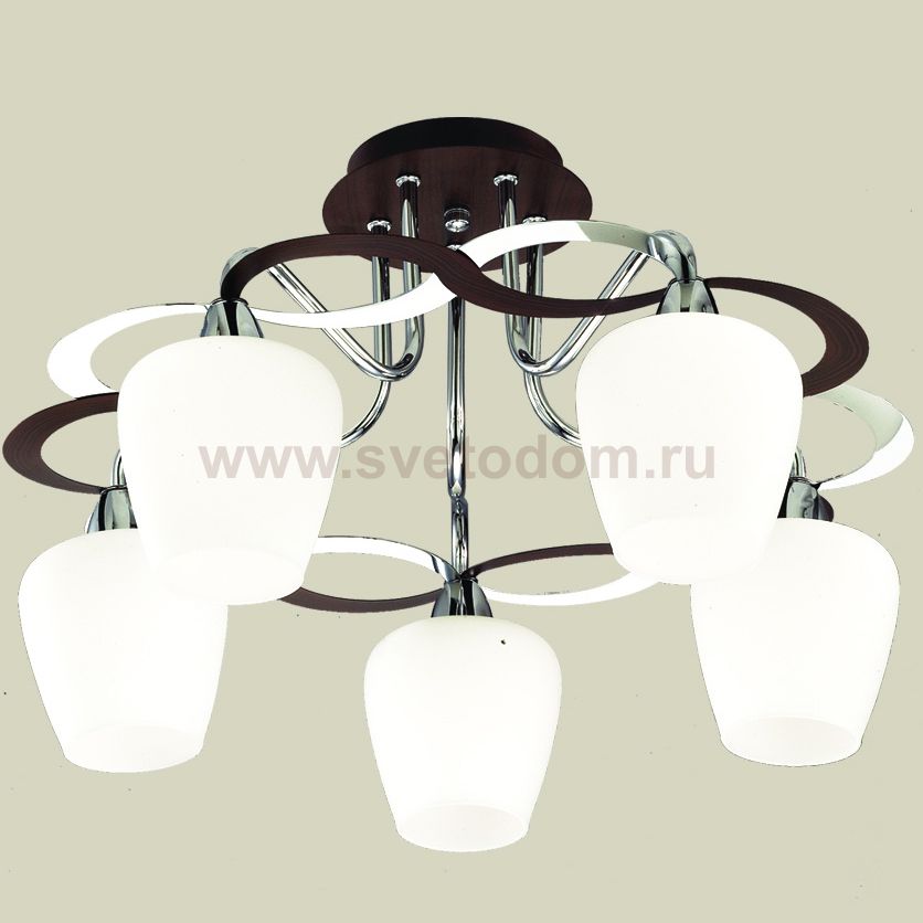 Люстра Favourite 1279-5u