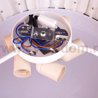 Светильник потолочный Divinare 1317/01 PL-6 BEATA