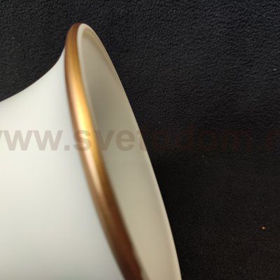 Потолочный светильник 13210/2FGD WT_2 ЭкономСвет