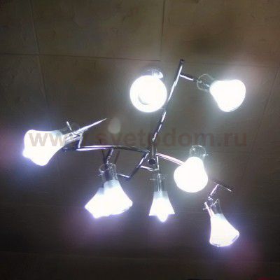 Люстра подвесная Odeon light 1327/8 ZAMIA