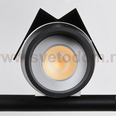 Трековый светильник STRIZH TRACK 2 lamp ImperiumLoft 134743-22