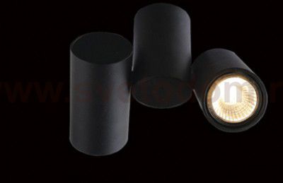 Светильник потолочный Divinare 1354/04 PL-2 GAVROCHE