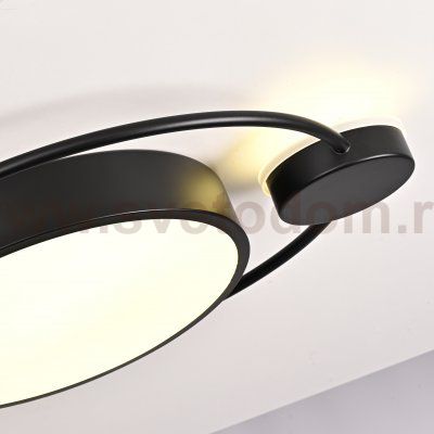 Потолочный светильник DESTIN D40 Black ImperiumLoft 140641-26