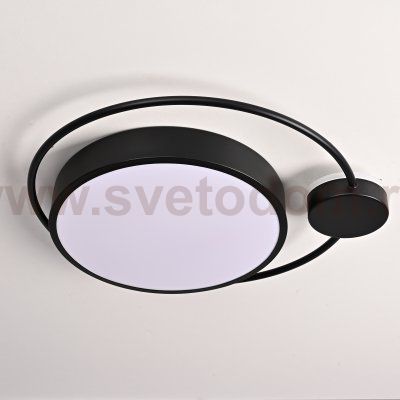 Потолочный светильник DESTIN D40 Black ImperiumLoft 140641-26