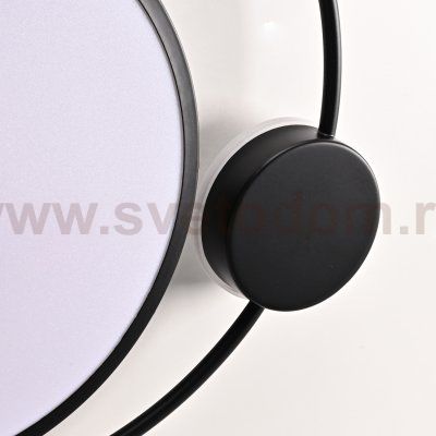 Потолочный светильник DESTIN D40 Black ImperiumLoft 140641-26