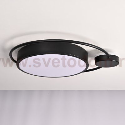 Потолочный светильник DESTIN D40 Black ImperiumLoft 140641-26