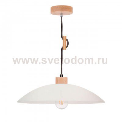 Подвесной светильник Spot Light Jona 1408131