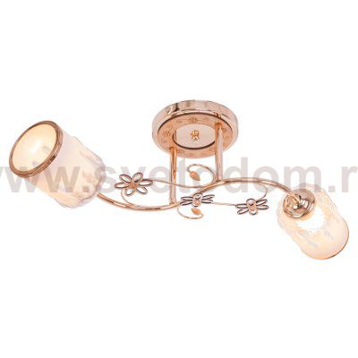 Люстра эконом Экономсвет 1421YX/2FGD WT