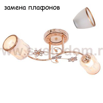 Потолочный светильник 1421XX/2FGD WT ЭкономСвет