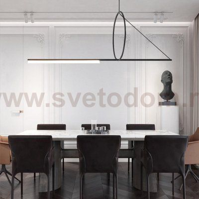 Подвесной светильник SUSPENSION CERCLE ET TRAIT – GRAPHITE SATINE L120 ImperiumLoft 144225-22