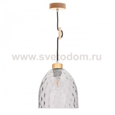 Подвесной светильник Spot Light Aura 1458160