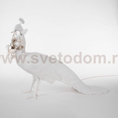 Напольный светильник Peacock