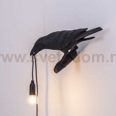 Настенный светильник Bird Looking Left Black