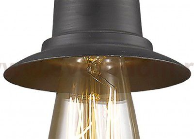 Подвесной светильник Favourite 1476-1P Spider