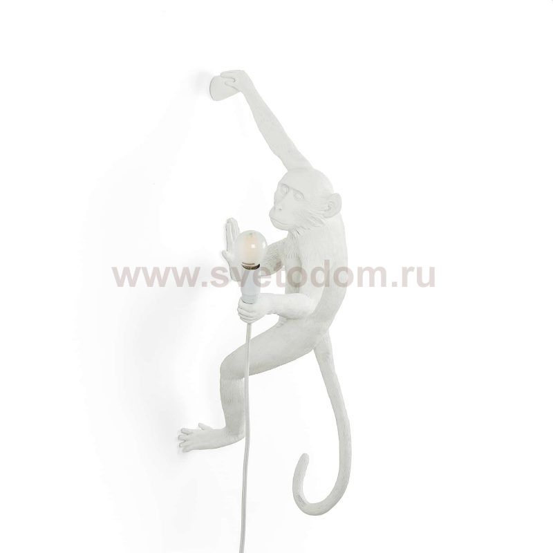 Настенный светильник Monkey Lamp Outdoor Hanging Right