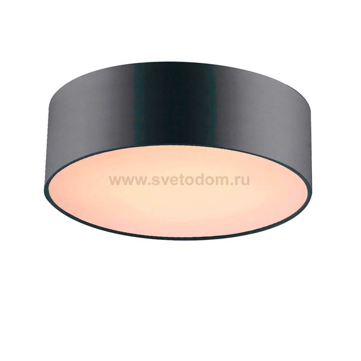 Потолочная люстра Favourite 1514-2C Cerchi