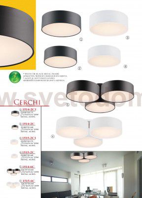 Потолочная люстра Favourite 1514-2C1 Cerchi