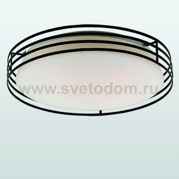 Люстра Favourite 1516-4C Moon