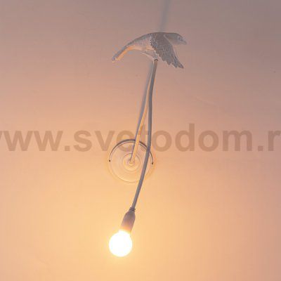 Настенный светильник Sparrow Taking Off