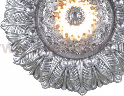 Настенно-потолочный светильник Favourite 1546-1C Conti