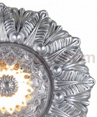 Настенно-потолочный светильник Favourite 1546-1C Conti