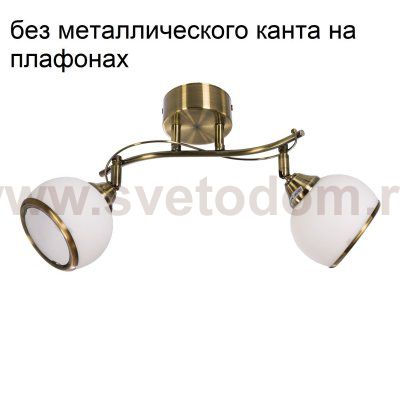 Спотовый светильник 1600/2AB WT ЭкономСвет