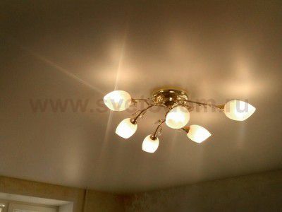 Люстра Odeon light 1603/6 FIERA