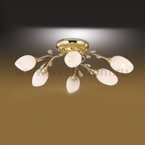 Люстра Odeon light 1604/6 FIERA