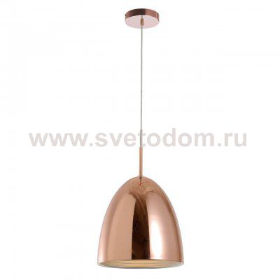 Подвесной светильник Spot Light Mads 1620113