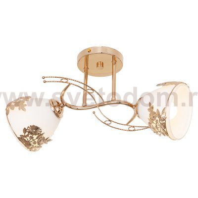 Потолочный светильник Экономсвет 163/2FGD WT+FGD