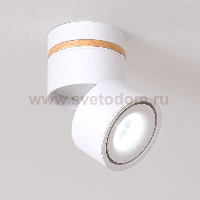 Точечный светильник AGENDA WOOD ImperiumLoft 167284-26