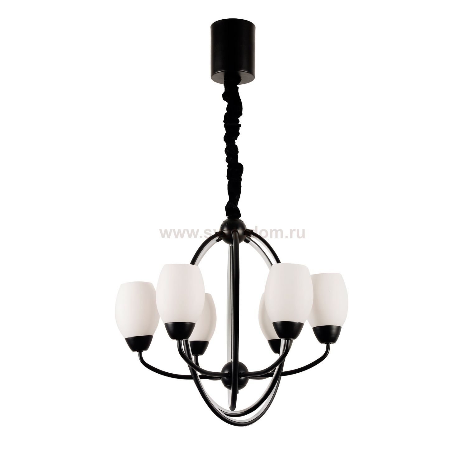 Люстра светодиодная Экономсвет 16808/6BK WT
