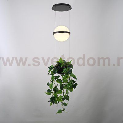 Подвесной светильник PALMA Wall lamp шар + вазон ImperiumLoft 168489-22