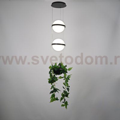 Подвесной светильник PALMA Wall lamp 2 шара + 1 вазон ImperiumLoft 168491-22