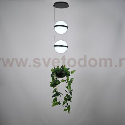 Подвесной светильник PALMA Wall lamp 2 шара + 1 вазон ImperiumLoft 168491-22