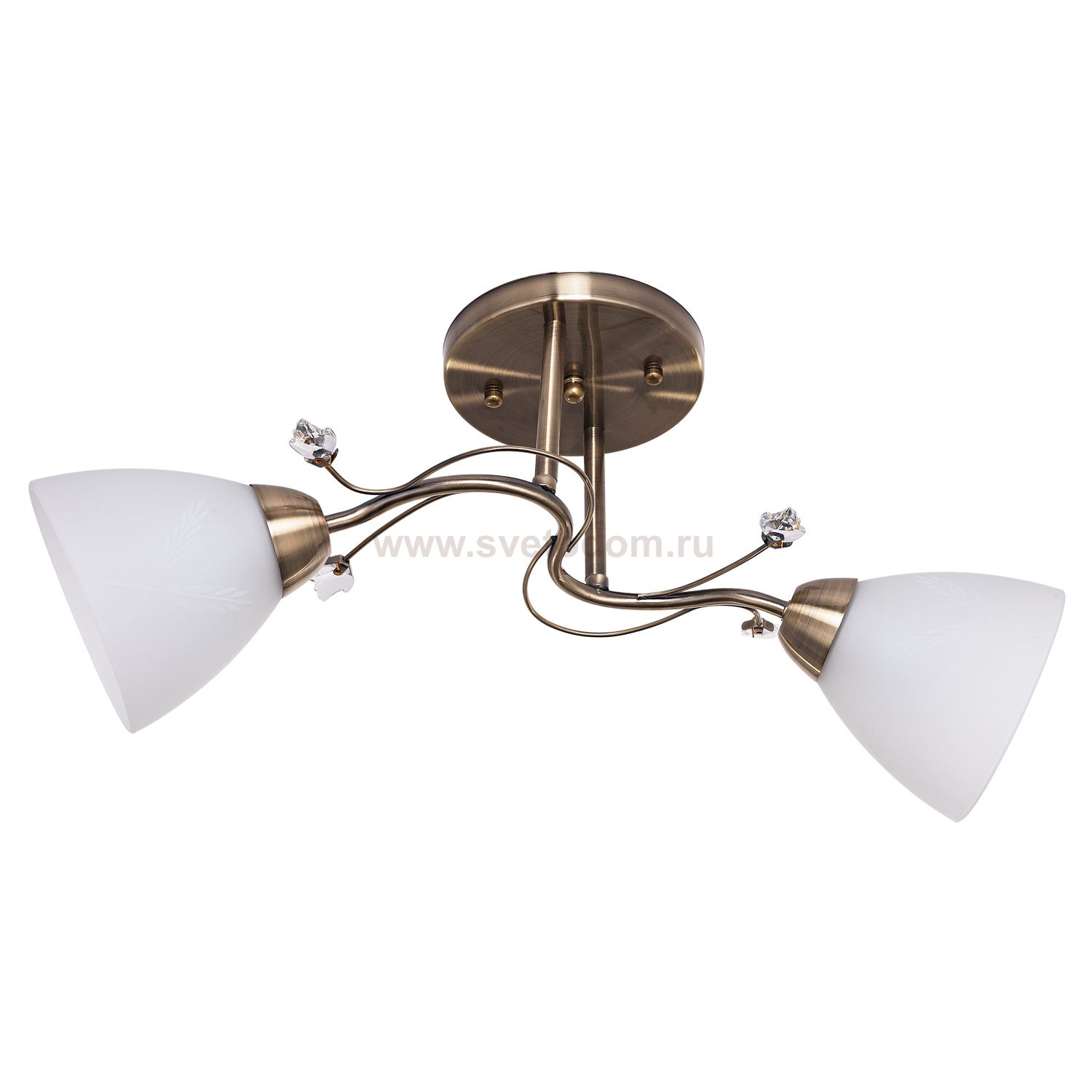 Потолочный светильник Экономсвет 1742YX/2AB WT