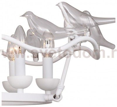 Люстра Favourite 1751-6P Pajaritos