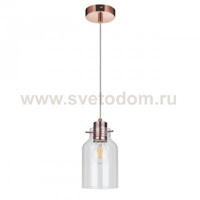 Подвесной светильник Spot Light Alessandro 1760113